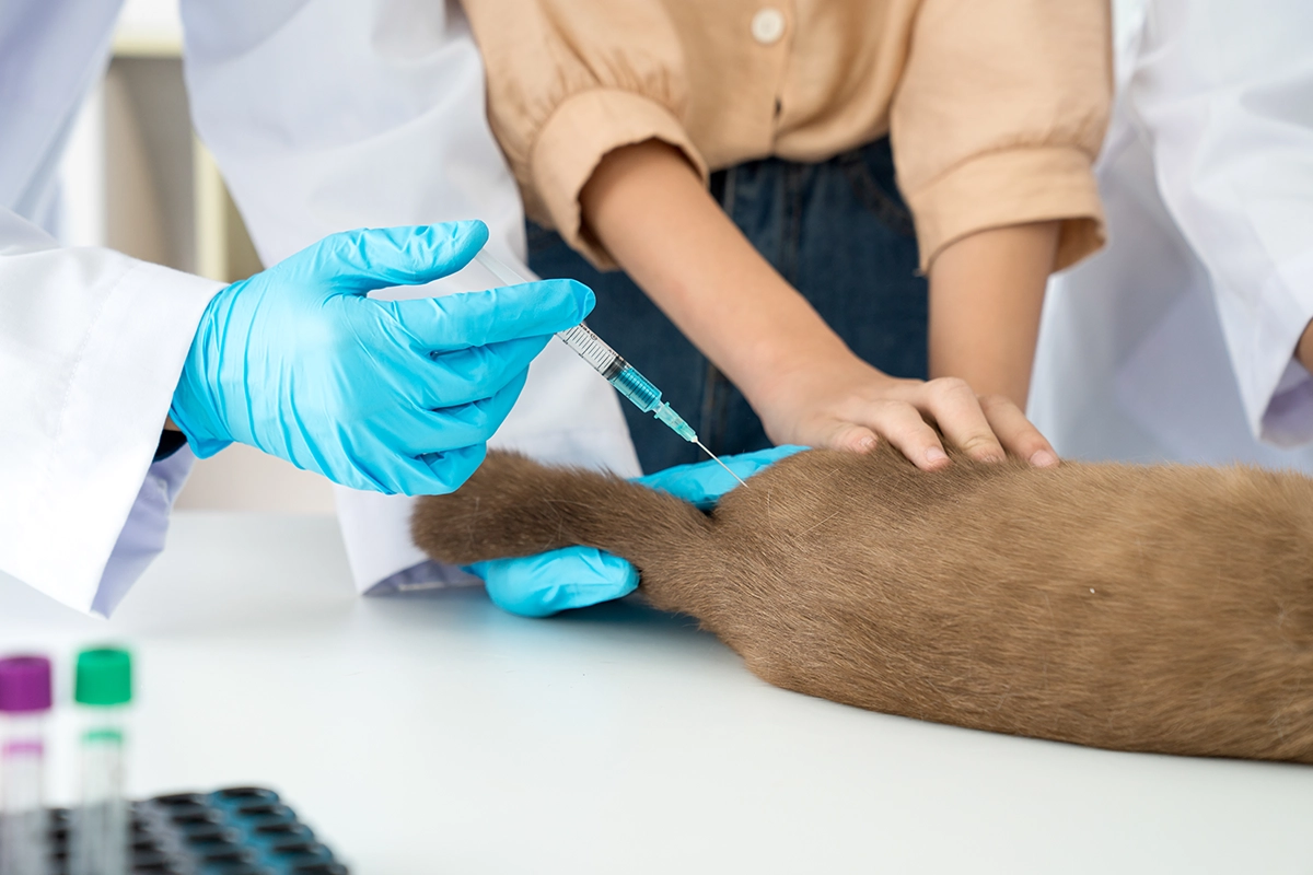 Prueba serológica para mascotas en Colombia
