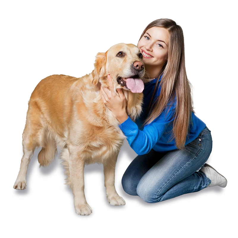 img-Mascota-España-requisitos