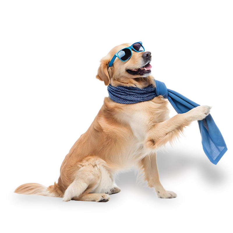 img-Mascota-Pet-Nanny