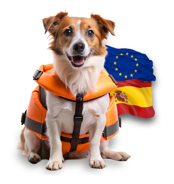 img-Mascota-PetNanny-Espana